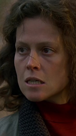 Rétrospective Sigourney Weaver, en sa présence, du 6 au 10 novembre à la Cinémathèque ! 🔥 Alors qu'elle n'avait à son actif qu'une courte apparition dans Annie Hall, elle devient une immense star grâce au Alien de Ridley Scott. Fragile et souveraine, elle révolutionne en un rôle les codes de l'héroïsme du cinéma d'action hollywoodien, jusqu'alors quasi strictement masculin. Ce pouvoir nouveau lui permet d'étendre son talent à la comédie (SOS Fantômes, Working Girl), au thriller (L'Année de tous