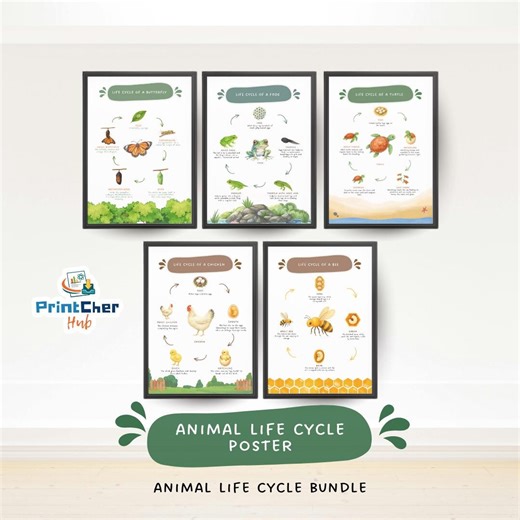 Animal Life Cycle Posters Bundle | Butterfly, Frog, Chicken, Bee, Turtle (digital Download) - Etsy