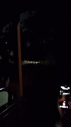 Found Jerry and friends at the Singapore Zoo 🦩🦩🦩 #jerry #sleeptoken #flamingo | Sam Higgs