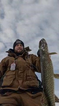 Picked up a good pike on the new jigging rod! #icefishing #fishing #pike #pikefishing #jigging