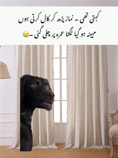 O My Yes Memes That Everyone Can Relate To