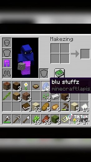 Lolcat Language in Minecraft