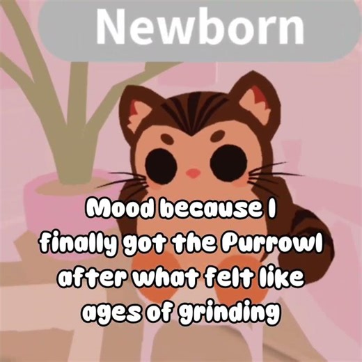 I LOVE THE PURROWL SO MUCH!!