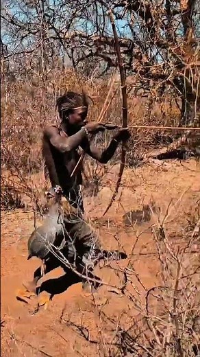 Hunters Hear a Lion in the Jungle | Wildlife Documentary Moment