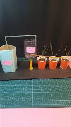 Drip Irrigation Working Model | Easy DIY School Project 🌱