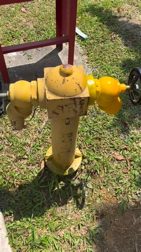 A fire hydrant functions as a critical, high-pressure, above-ground or underground access point connected to municipal water lines, allowing firefighters to rapidly secure large volumes of water to extinguish fires. #study #malaysiatiktok #viralreels #onthisday #viral | Delta Fire Services