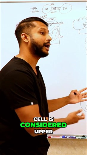 Understanding the corticospinal tract pathway is key. Differentiating upper motor neuron lesions from lower ones hinges on location. Everything above the anterior horn cell is upper; below, it's lower. #CorticospinalTract #Neurology #MotorNeurons #Neuroanatomy #Anatomy | Im.medical.youtube