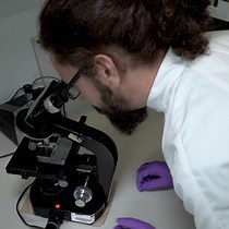 High-Throughput Analysis of Macropinocytosis - JoVE Journal