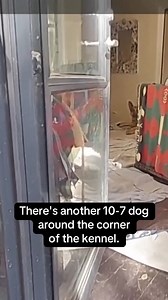 334K views · 2.3K reactions | Body camera footage released Tuesday...