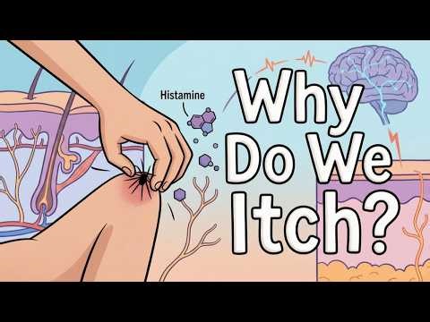 Itching vs. Scratching What's the REAL Difference?