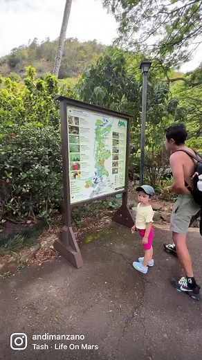 Hiking to the Waimea Falls in Hawaii. It’s the first water fall hike for us as a fam. First of many I hope. It’s beautiful 🤍 | Andi Manzano