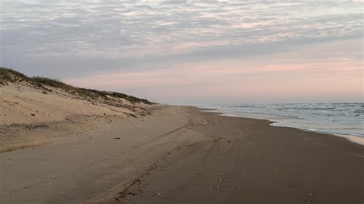 Cameron County reopens beach access points