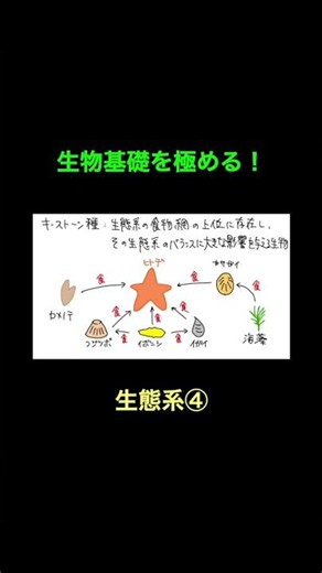 95 Ecosystem 4 #Basic Biology
