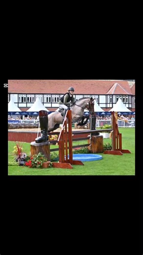 ✨2026 Breeding Season✨ We are delighted to present our outstanding...