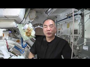 野口宇宙飛行士の宇宙暮らし029 宇宙食アレンジレシピ第二回　鷄テリマヨあんかけ風ごはん
