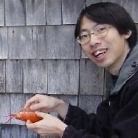 Lin Hsin Hsin - Alchetron, The Free Social Encyclopedia