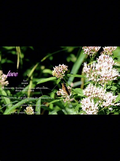 The Importance of Love in Relationships