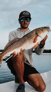 Have you guys seen our new Flats Bastard? We wanted to see how it would perform on a true finesse mission, so we took it straight to a flood tide. Shallow water, nervous bait, redfish pushing just inches deep. One precise cast later, we were connected to a strong red. The Flats Bastard delivered the sensitivity and control you dream of in skinny water. 🎣🔥 | Toadfish
