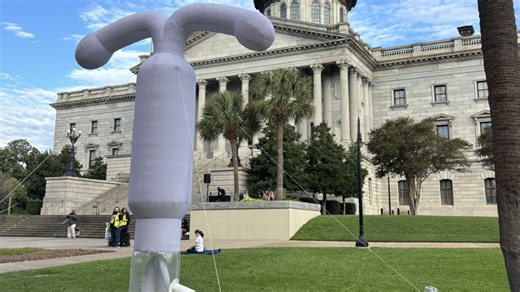 Groups gather outside SC State House as hearing continues on abortion bill
