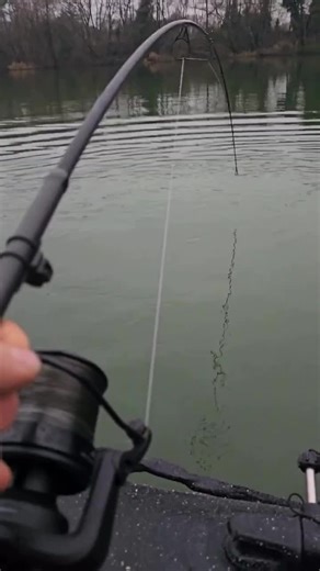 #karp #run #рек #karpfishing🎣 #fishing