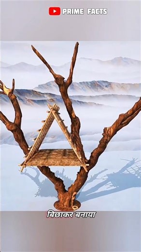 How Ancient Tree Houses Became Great Villages