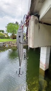 Livingston Lure Instant Hookup 💪 #livingston #fishing #peacockbass #basslures #monstermike #reels | CEO Fishing