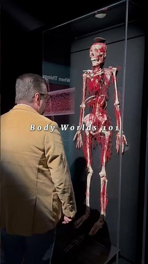 Visit the Body Worlds 101 exhibit at The Health Museum this summer!
