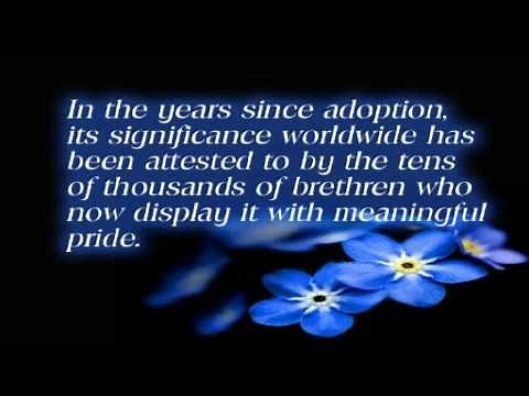 The Story Behind the Forget-Me-Not