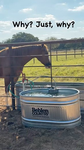 3.3M views · 65K reactions | Michelle Reed, Realtor - Trinity Country Real Estate on Reels | Facebook