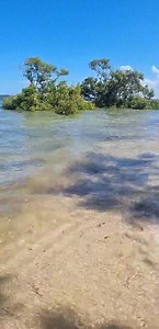 Current conditions, as seen Poona Beach, surfs up.. 2:15pm.. | The Bay Today