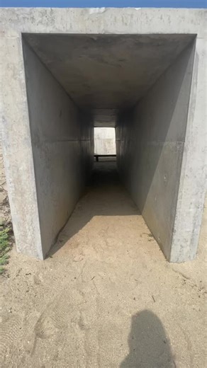 Dog Counter on TikTok