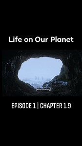 Life on Our Planet | Season 1 Episode 1 | The Rules of Life Chapter 1.9 | Prehistory, Nature and Science