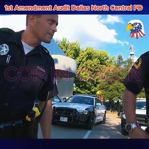 112K views · 2.4K reactions | 1st Amendment Audit Dallas North Central PD | Delight6 | Facebook