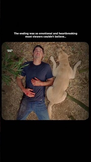The Ending That Left Everyone Silent… | LOST Final Scene