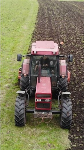 Tilling Grassland | Case International + Maschio