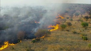 11 Main Effects of Climate Change