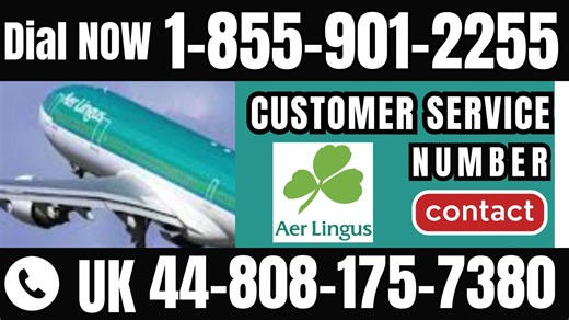 Official Aer Lingus® Customer Service: How to Contact Aer Lingus® | 24/7 Live Help & Support