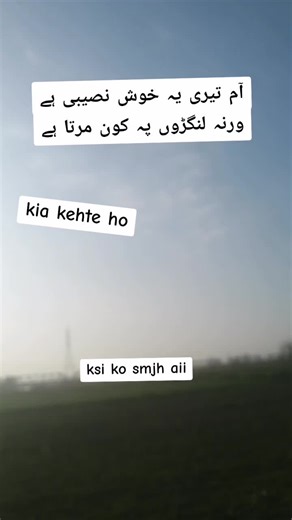 Achieving 100k Followers: A Celebration