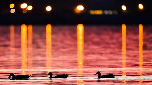 East Peoria has a new logo and slogan. Take a look at the fresh branding