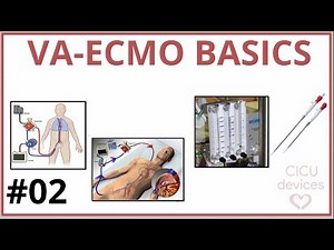 ⚙️ VENOARTERIAL ECMO BASICS, CLINICAL KEYS EVERY ICU PROFFESIONAL SHOULD KNOW (ECMO GUIDE 002)
