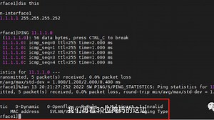 10.1.1.0/31这个地址到底能不能用？31位掩码是啥？