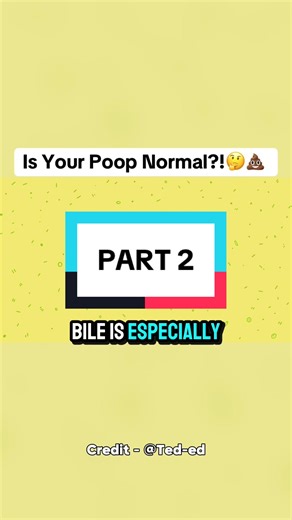 Is Your Poop Normal | Part 2 #educational #interestingvideos #sciencetok #poop #physics