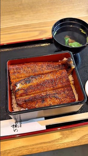 創業45年以上 和歌山の老舗うなぎ店のコスパ最強の国産うな重🐟【和歌山 うなぎ屋かわすい】