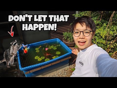 Building a Cover for my GOLDFISH POND