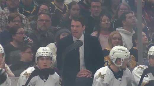 Monsters prepare for Calder Cup Playoffs