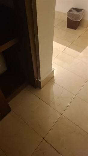 Explore Punta Cana: Your Ultimate Vacation Guide