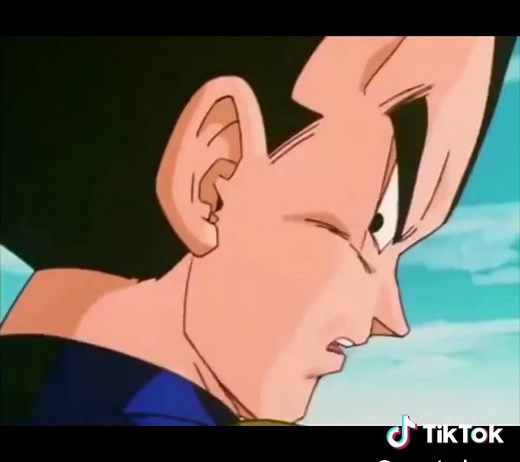 Top Vegeta Moments in DBZ Abridged
