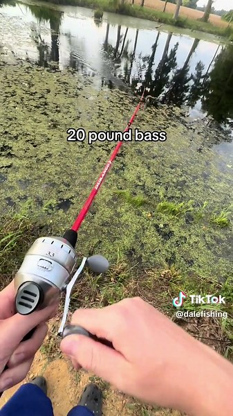 Catching a 20 Pound Bass | Fishing World Record