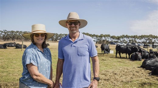 Bull market: Lawsons Angus eclipse 90 per cent clearance