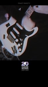 Pinact "Anxiety" from 2015 Stand Still and Rot #punk #grunge #flowerpower #kanine20 #indierock #punkrock | Kanine Records
